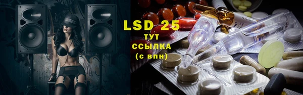 стафф Надым