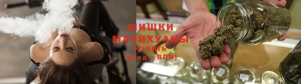 сатива Михайловск