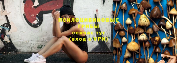 стафф Надым