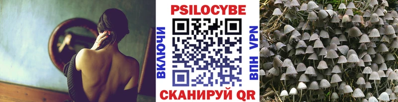 Галлюциногенные грибы MAGIC MUSHROOMS  где можно купить   Миллерово 