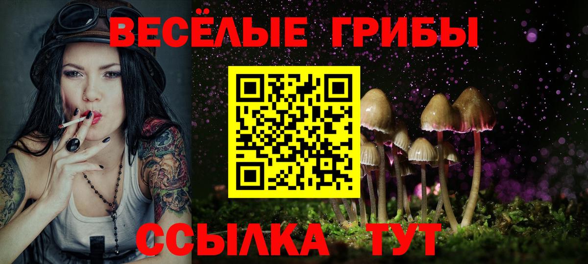 Миллерово  Псилоцибиновые грибы мухоморы  Вход с VPN 